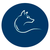 Logo No sentido Agora estou