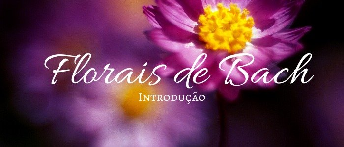 Florais de Bach - Introdução