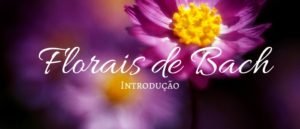 Florais de Bach - Introdução - Rafael Henrique Harich