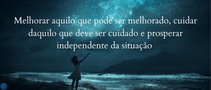 Melhorar aquilo que pode ser melhorado, cuidar daquilo que deve ser cuidado e prosperar independente da situação