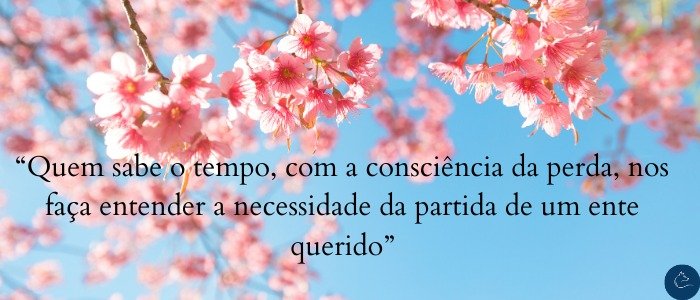 “Quem sabe o tempo, com a consciência da perda, nos faça entender a necessidade da partida de um ente querido”